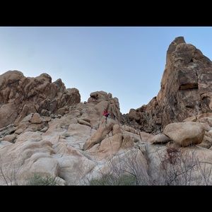 Meet your Posher, Jane